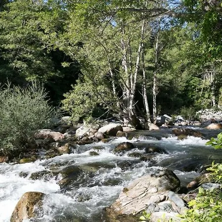 Restaurant & E Caselle فندق