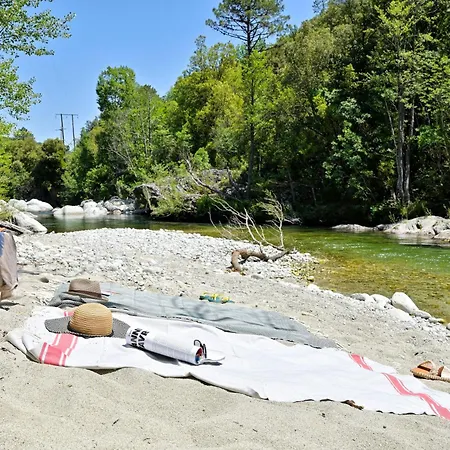 Restaurant & E Caselle