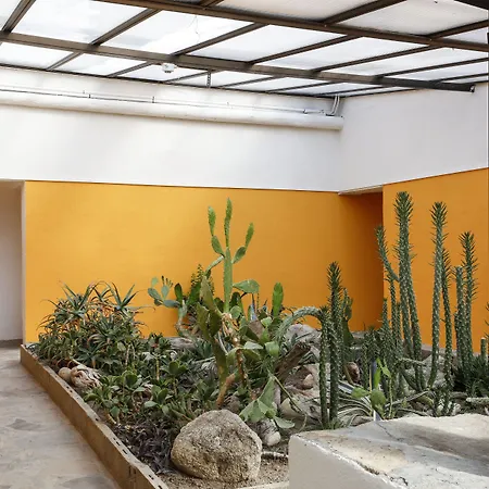 Restaurant & E Caselle