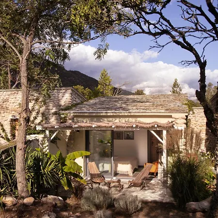 Restaurant & E Caselle 4*