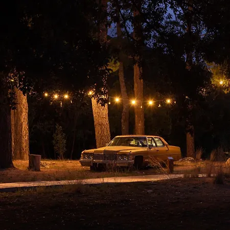 Hotel Restaurant & E Caselle 4*