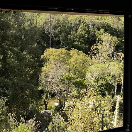 Otel Restaurant & E Caselle 4*