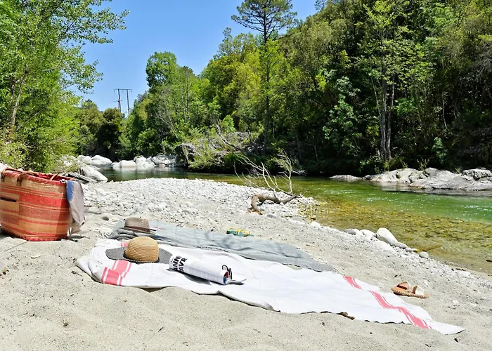 Restaurant & E Caselle