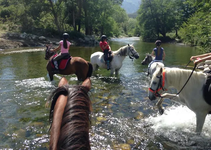 Hotel Restaurant & E Caselle 4*