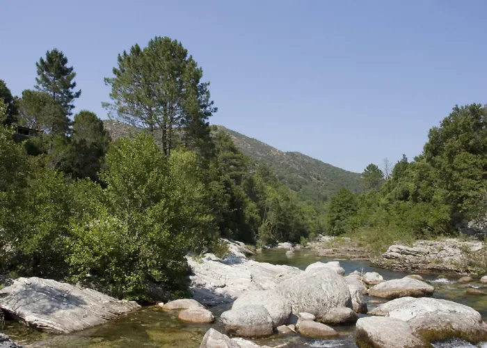 Restaurant & E Caselle 4*