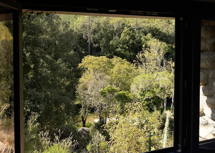 Hotel Restaurant & E Caselle 4*